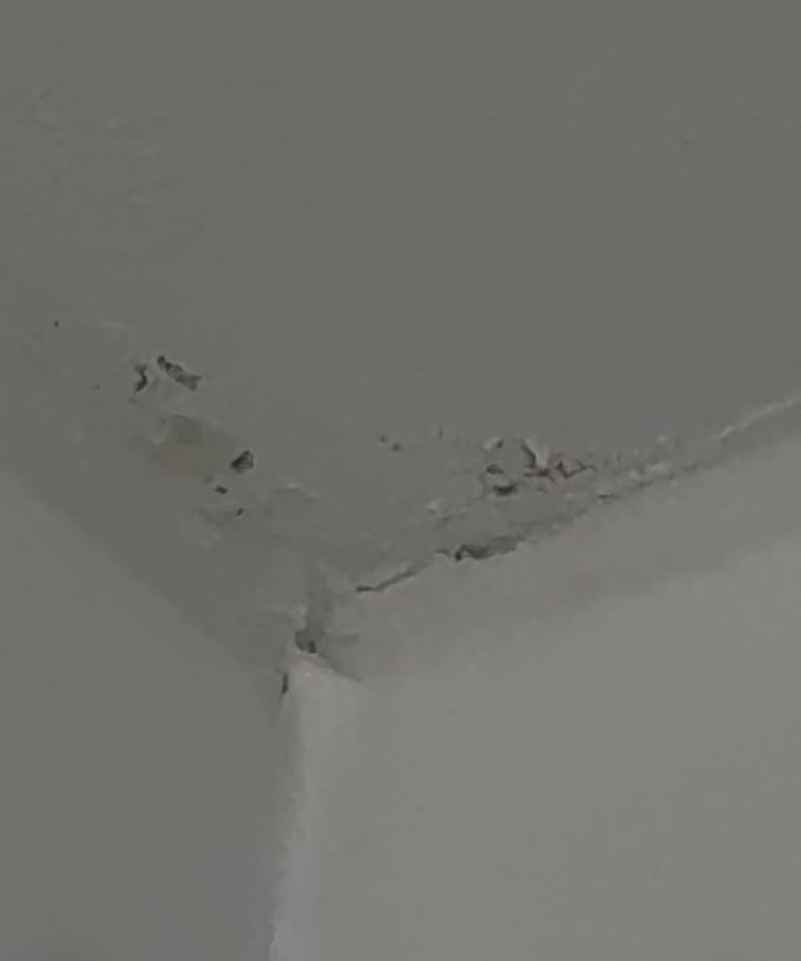 Mold and hair on ceiling 
