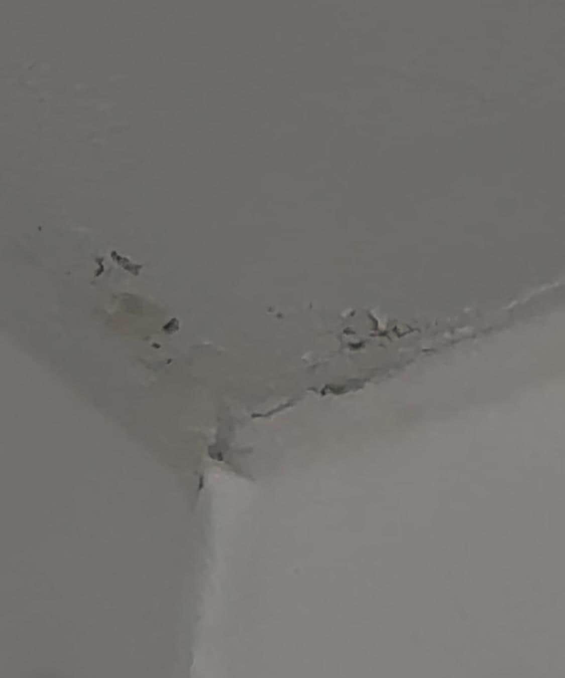 Mold and hair on ceiling
