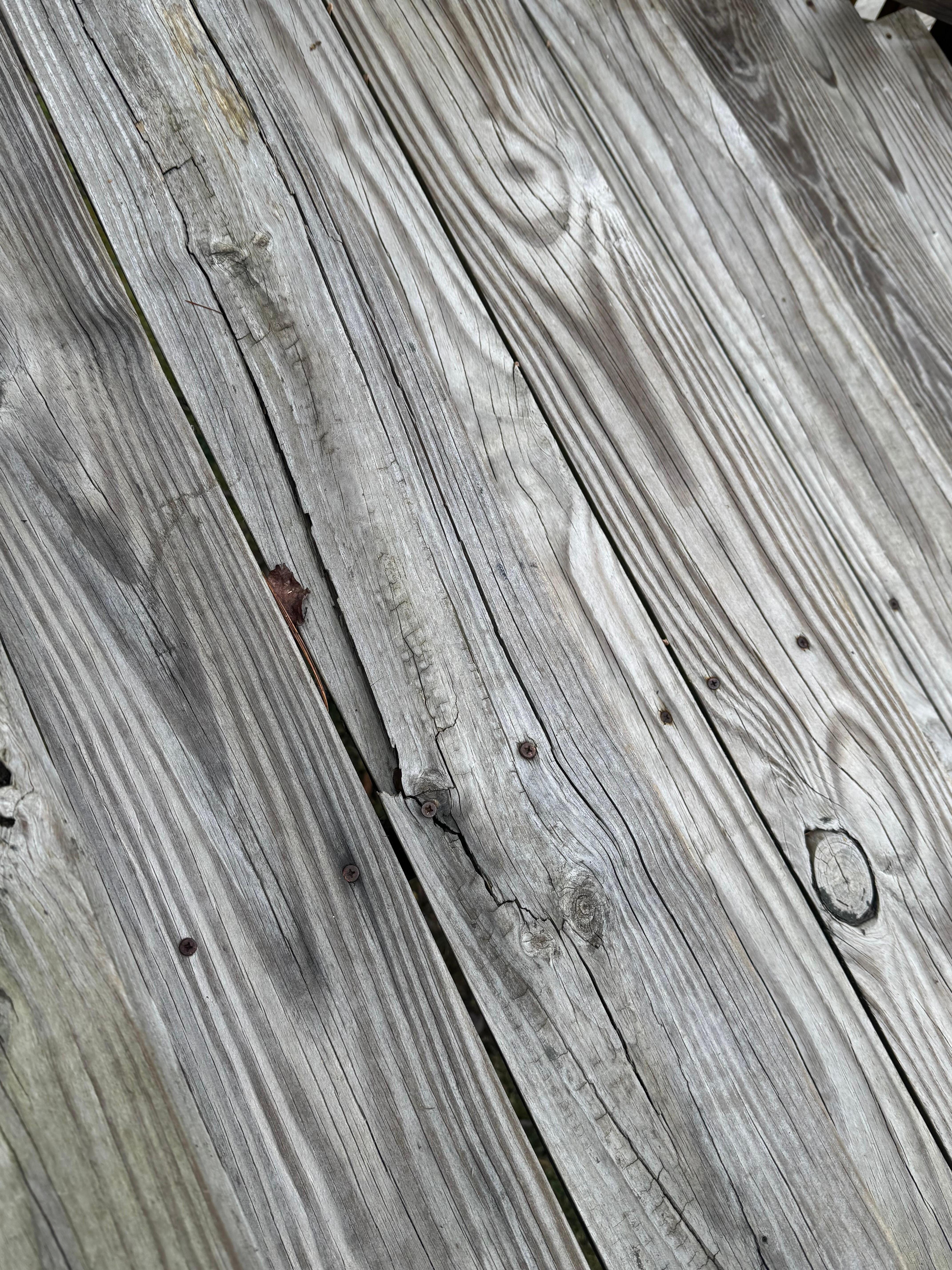 Rotted and broken step