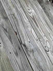 Rotted and broken step