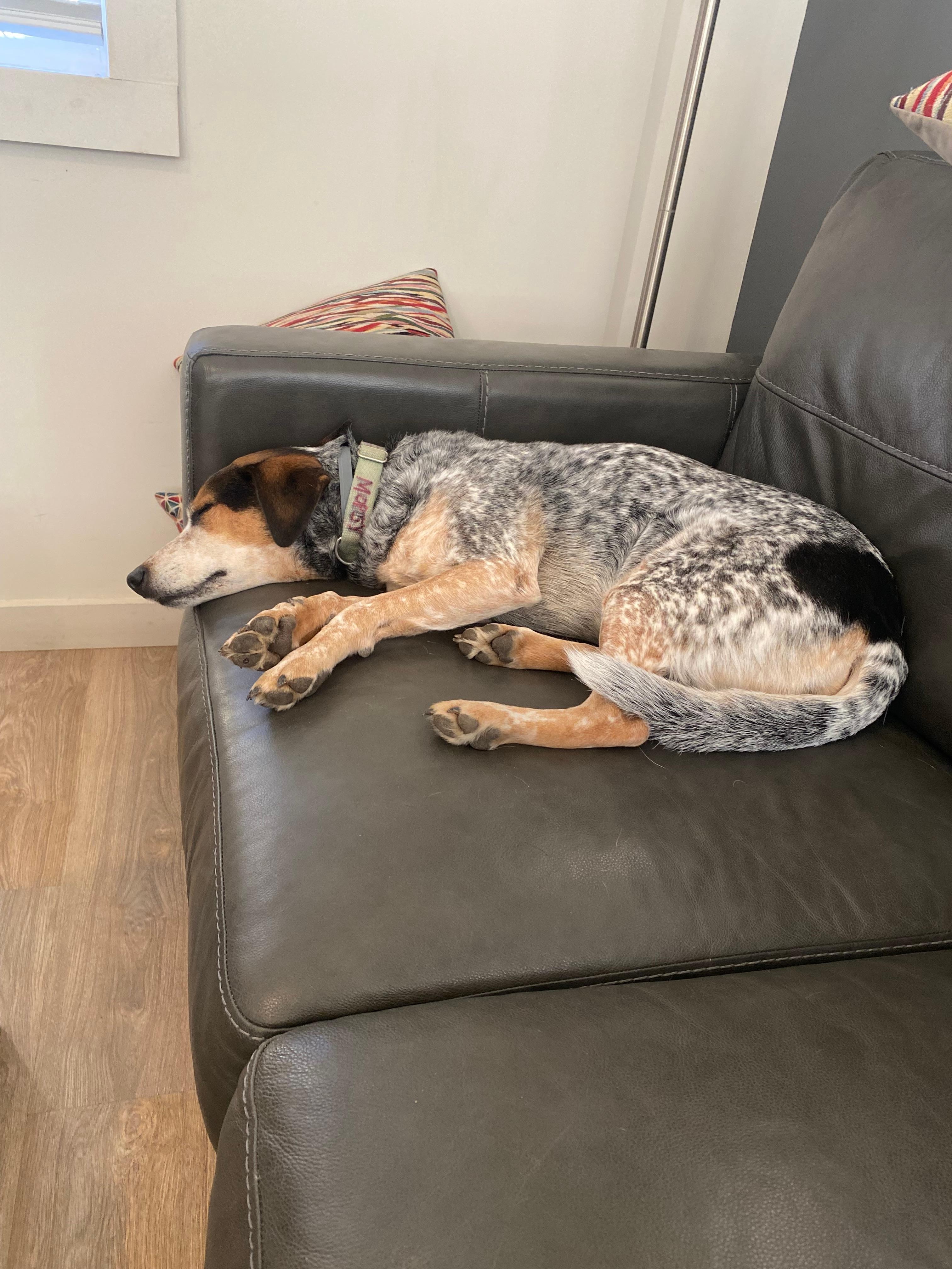 Our cabin, really nice