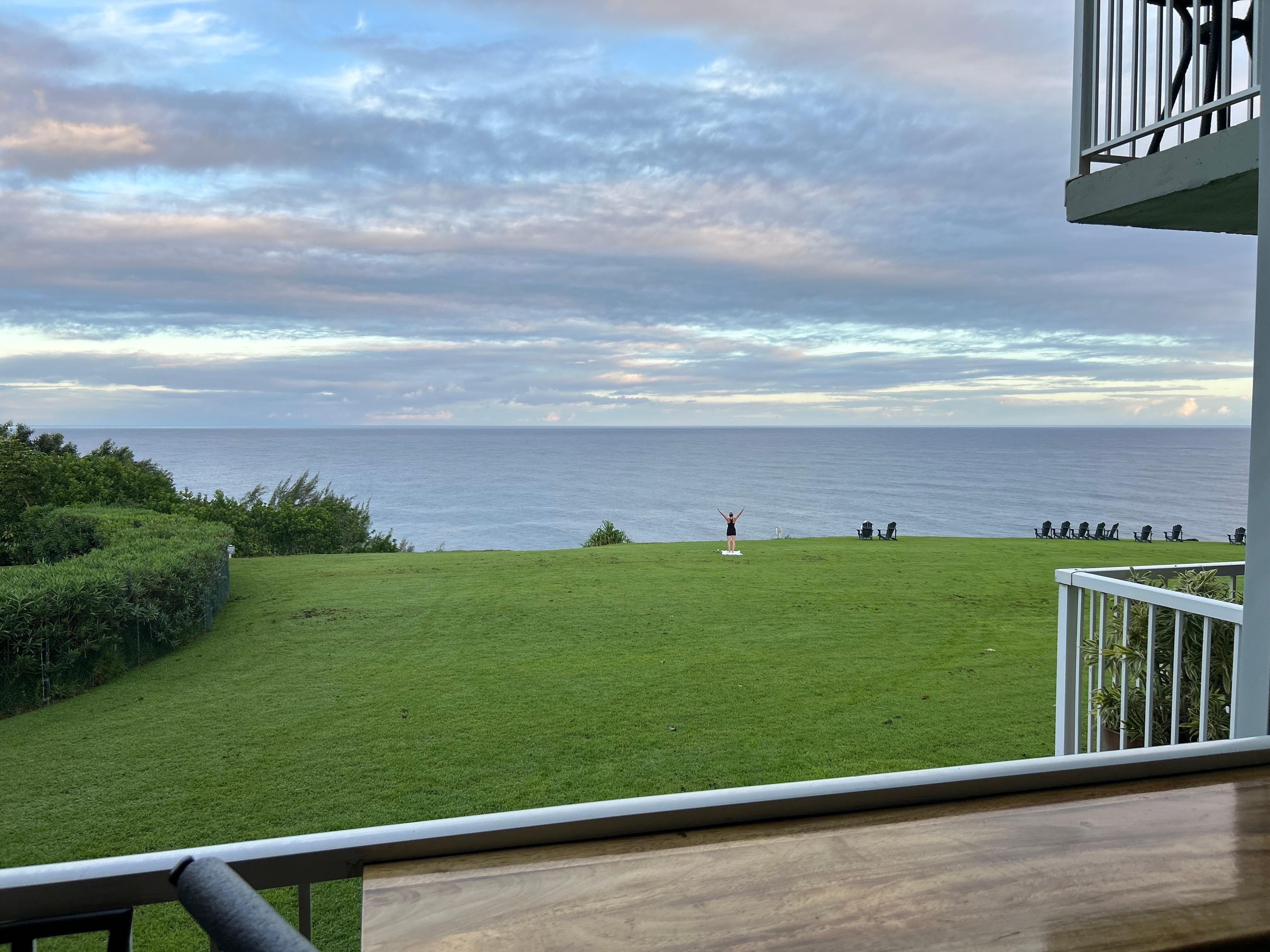 whale sightings almost every day