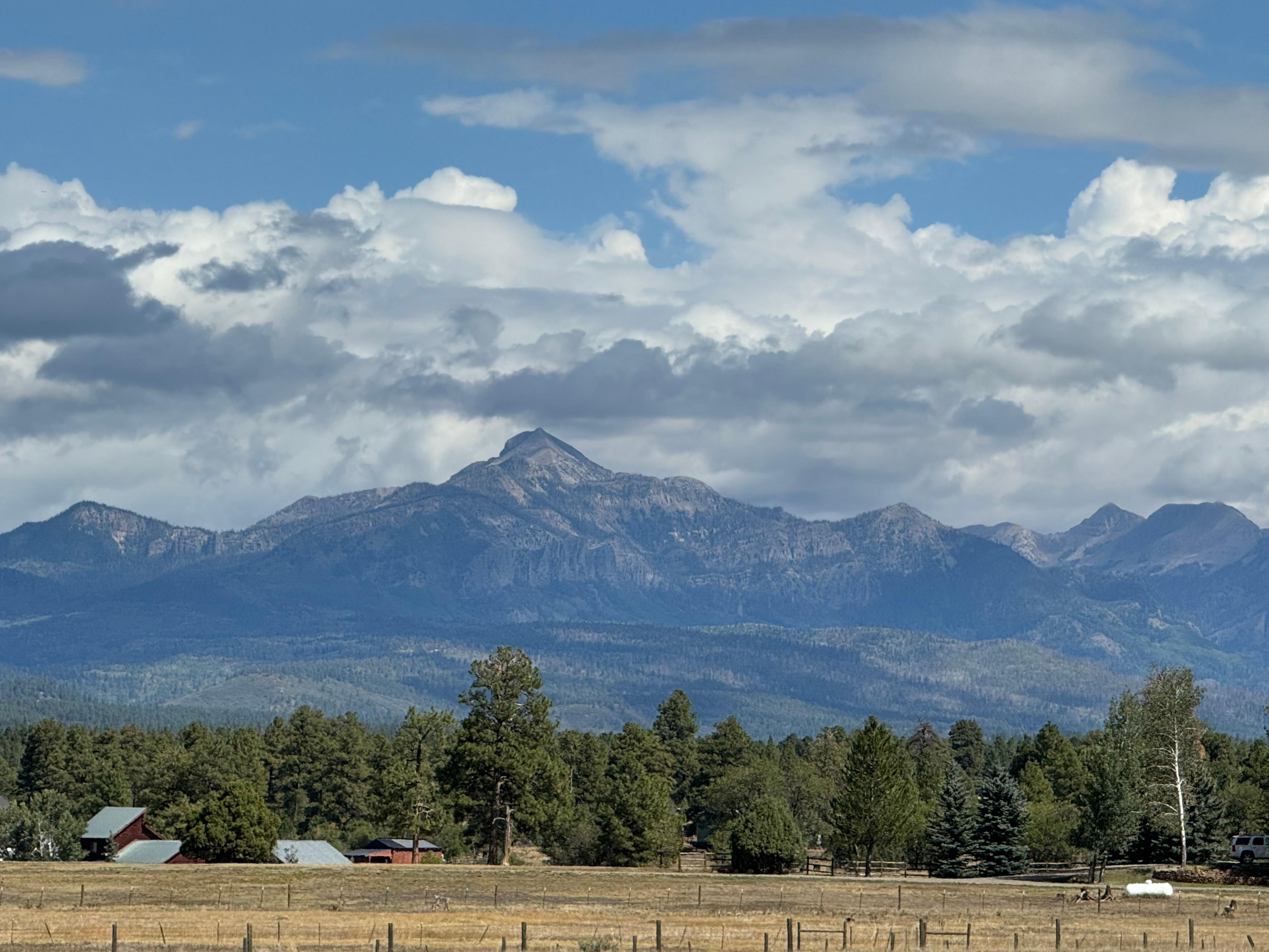 View from the back porch