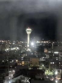 11階から五稜郭を望む