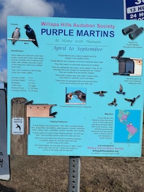 Information down at the marina about the Purple Martin.