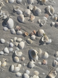 Great shelling