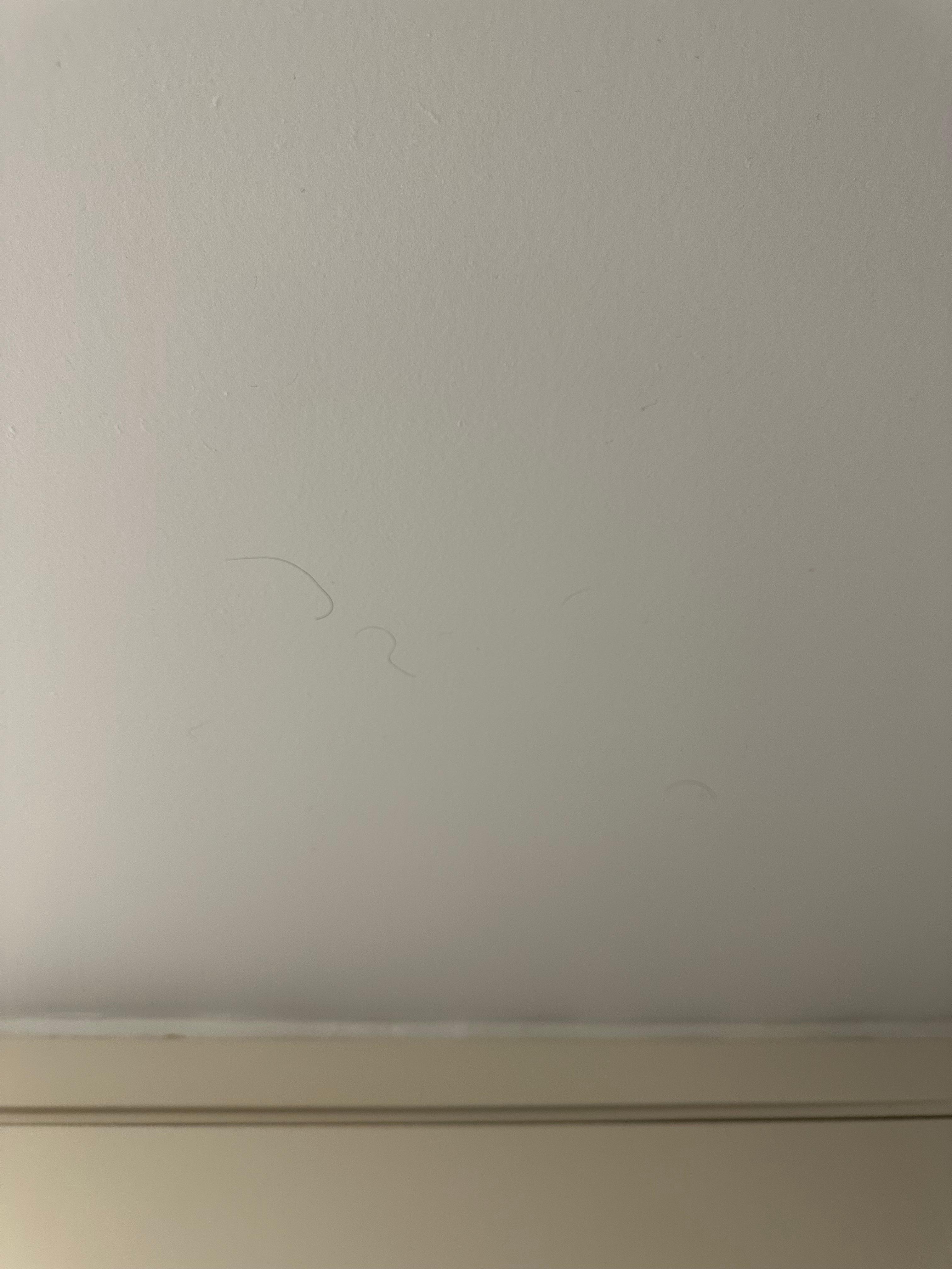 Hair on the ceiling 