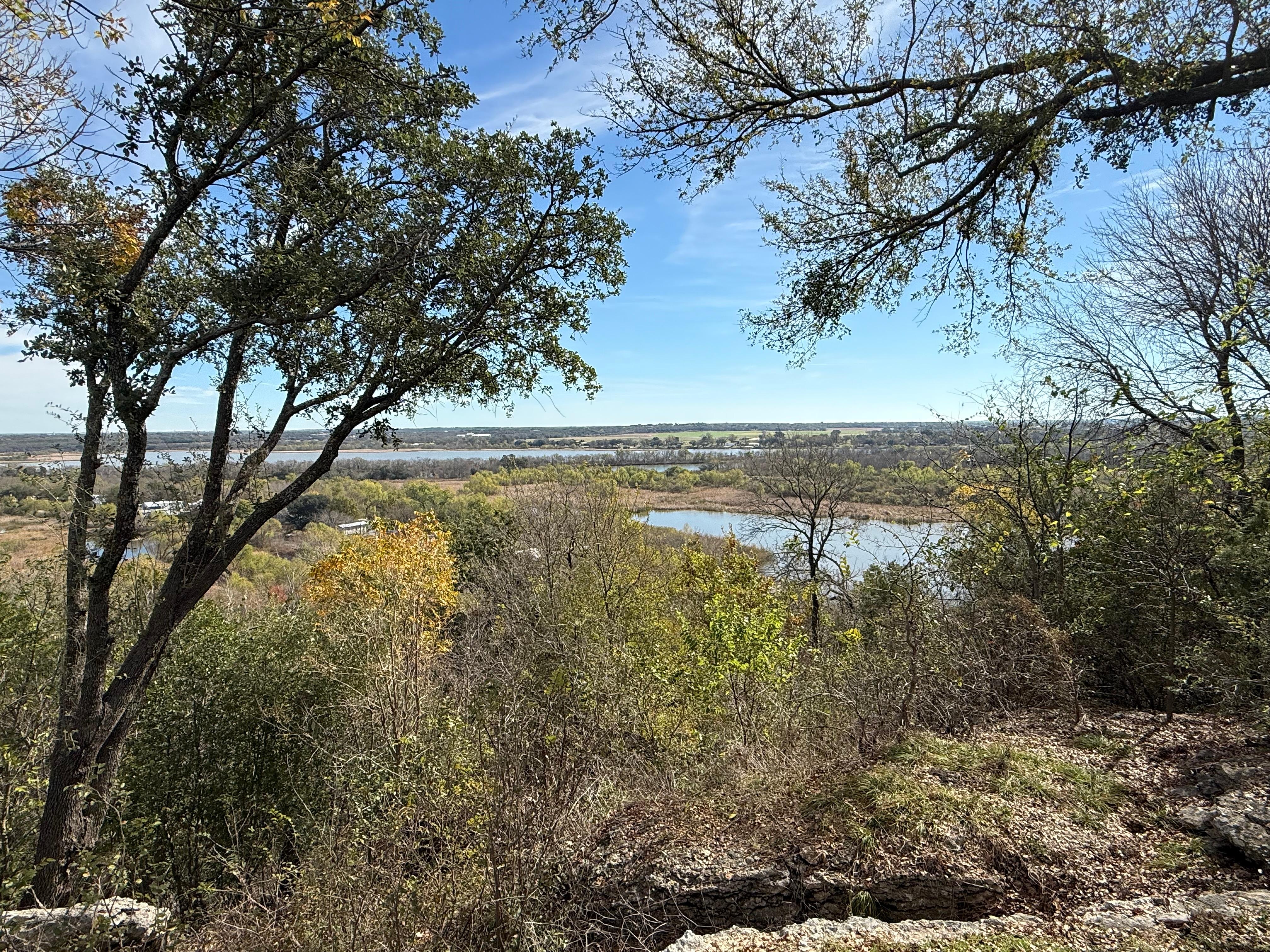 View from the fire pit/cabins.