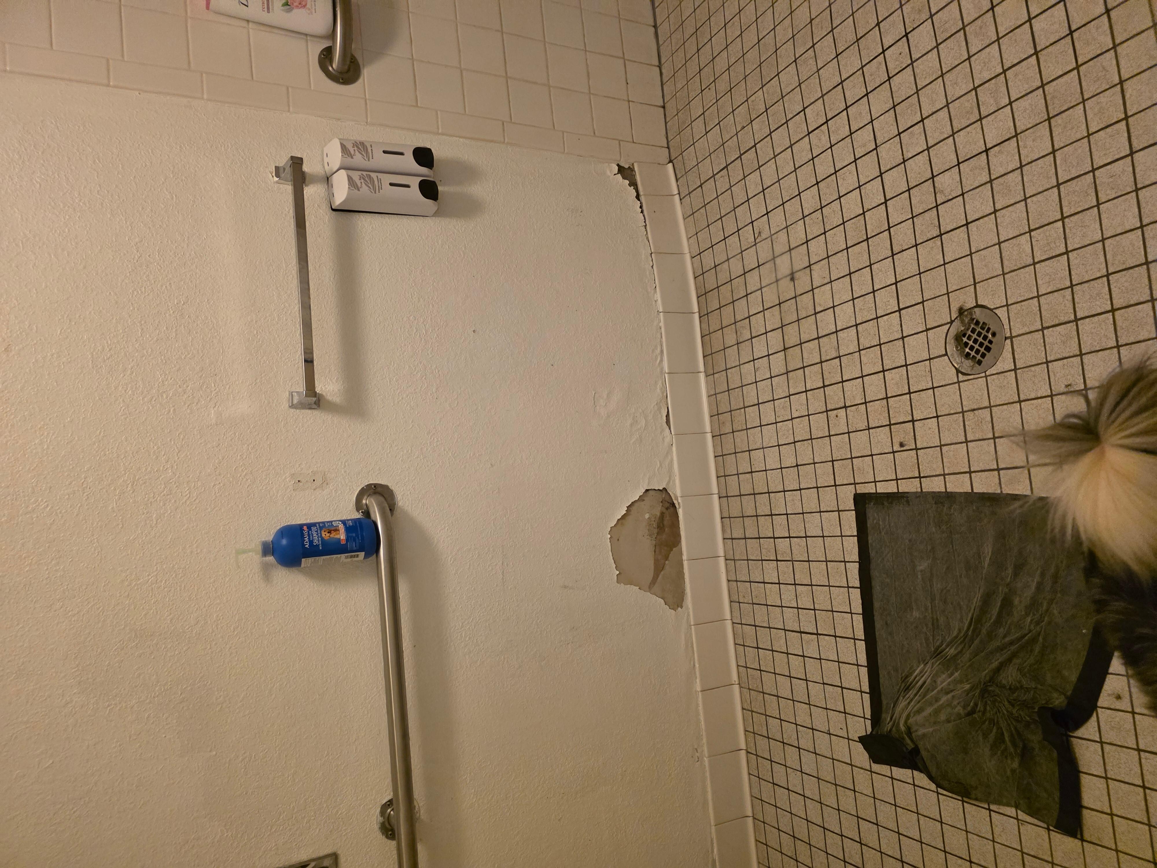 Bathroom dry 