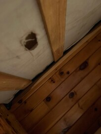 Spider hole facing lower bunk