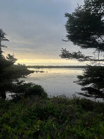 View from fire pit