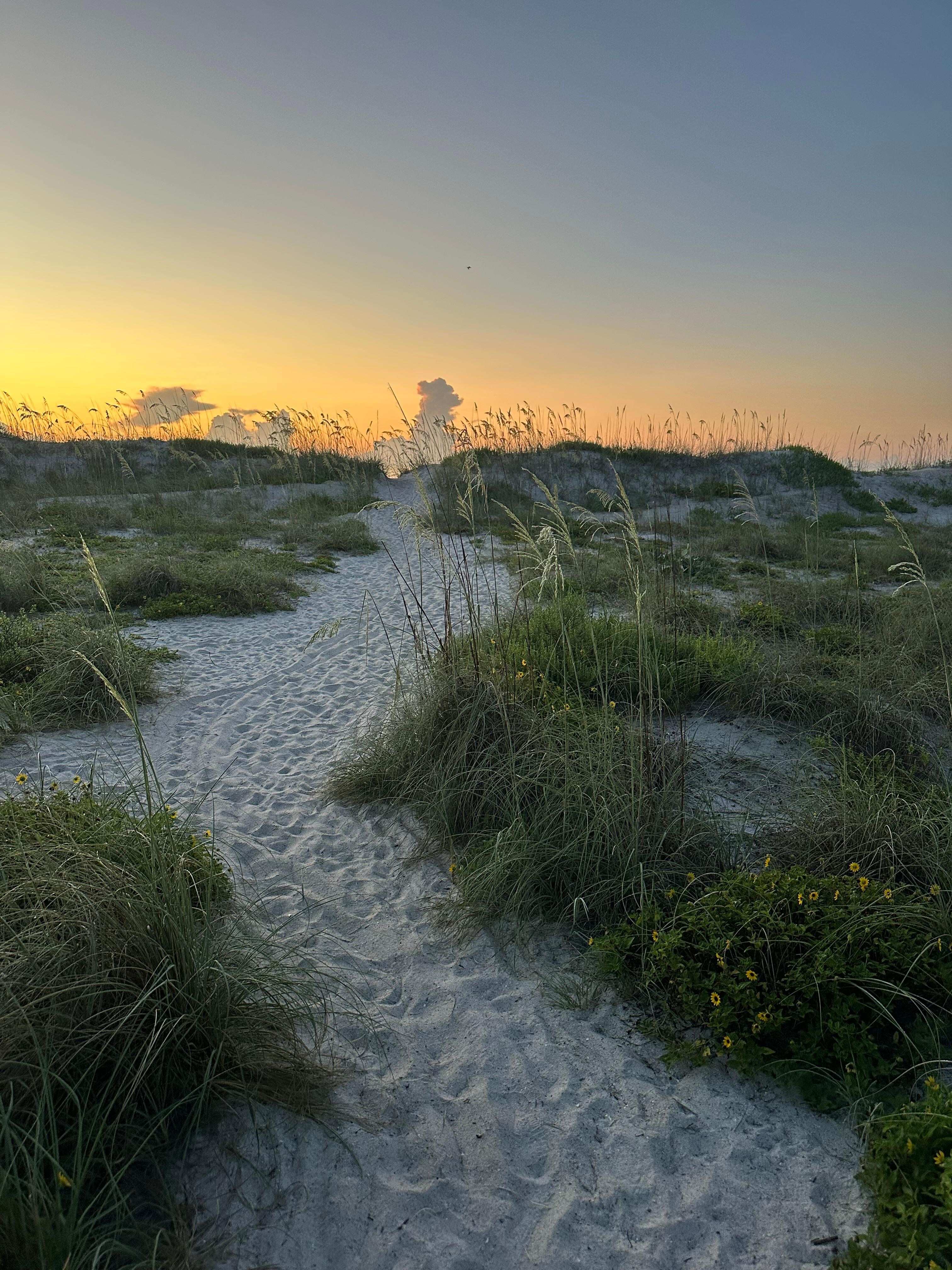 Sunrise walk