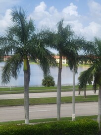 View from room