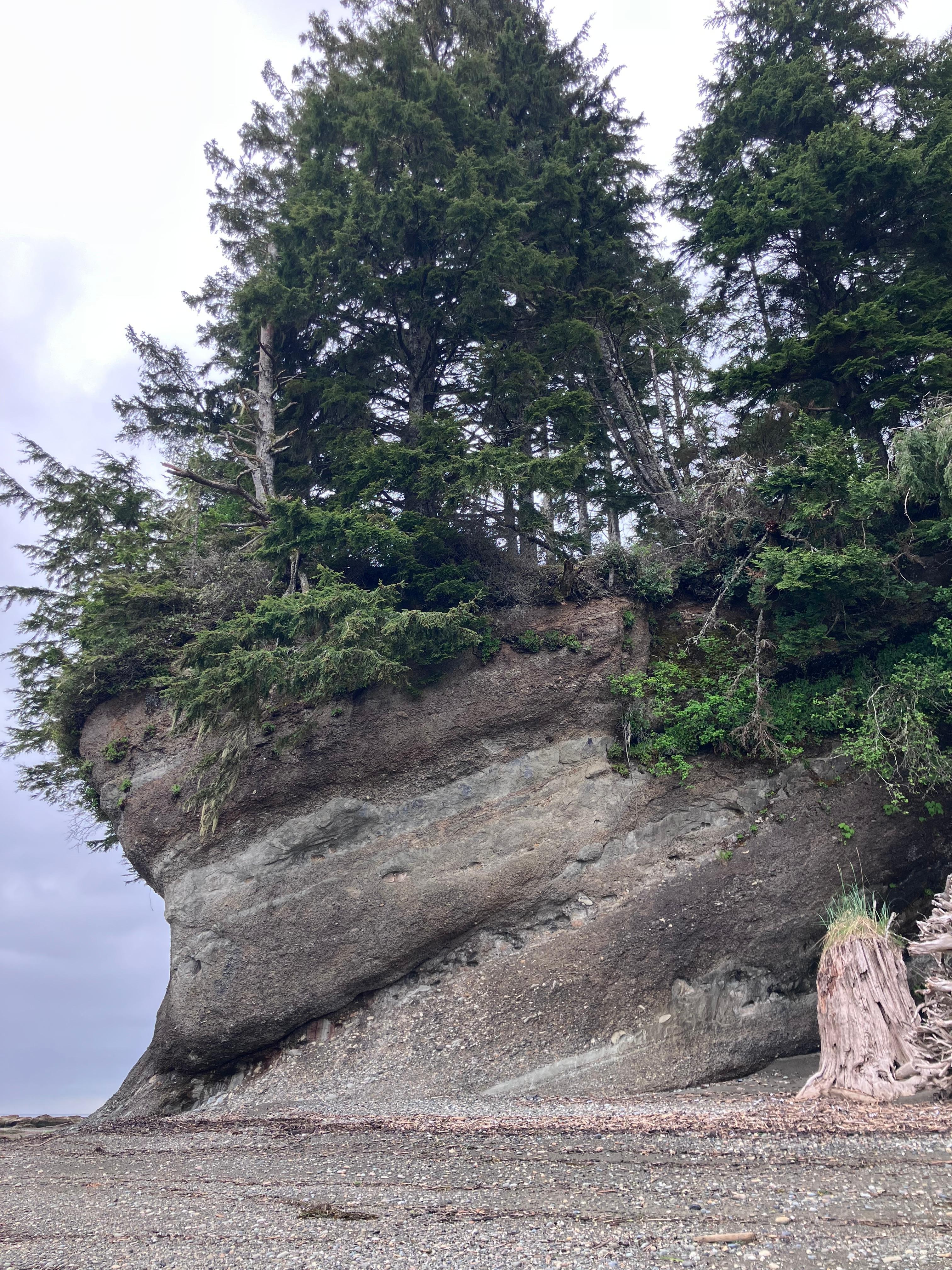 bluff west of cabin