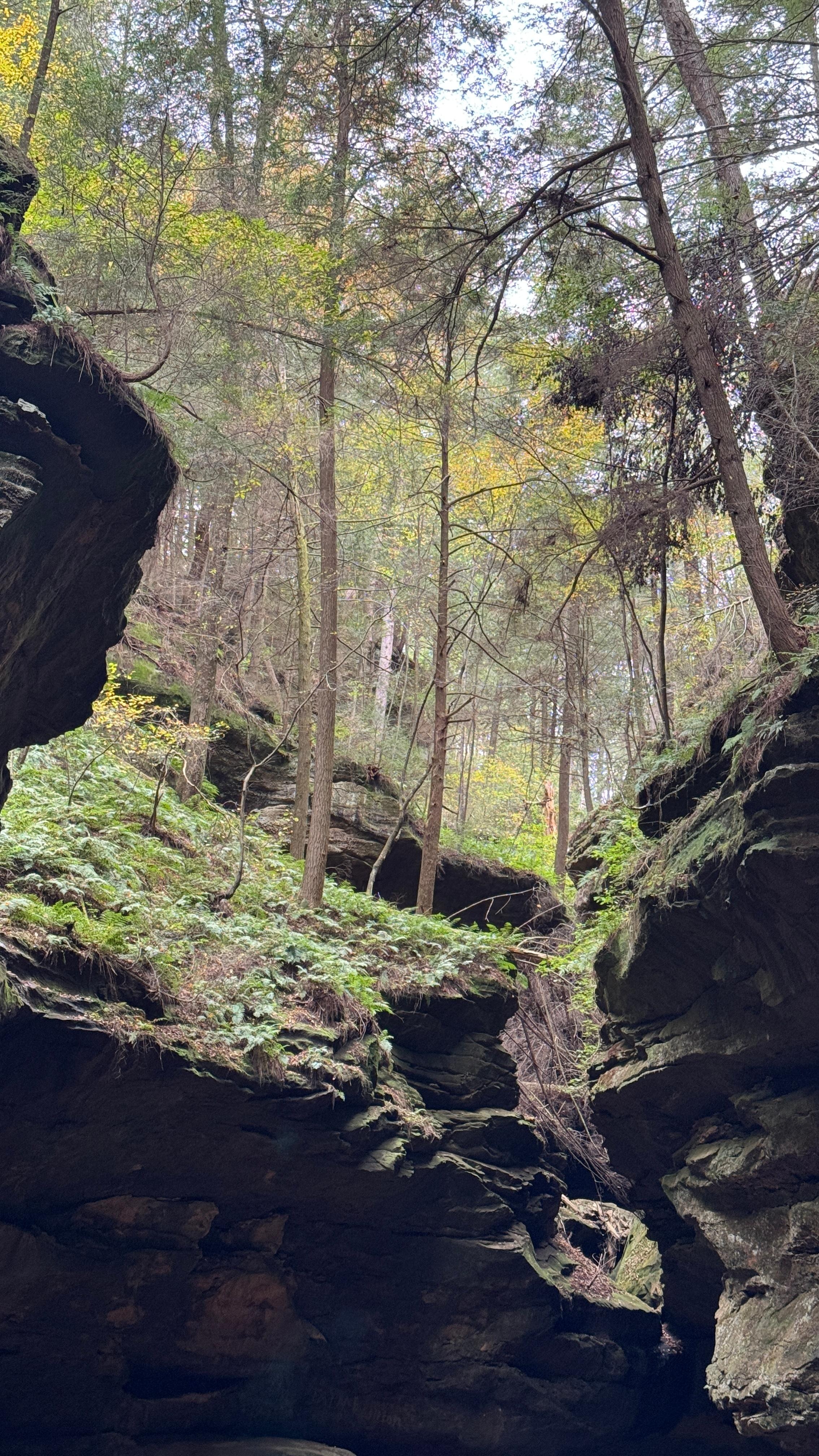 Beautiful hikes in Hocking Hills!