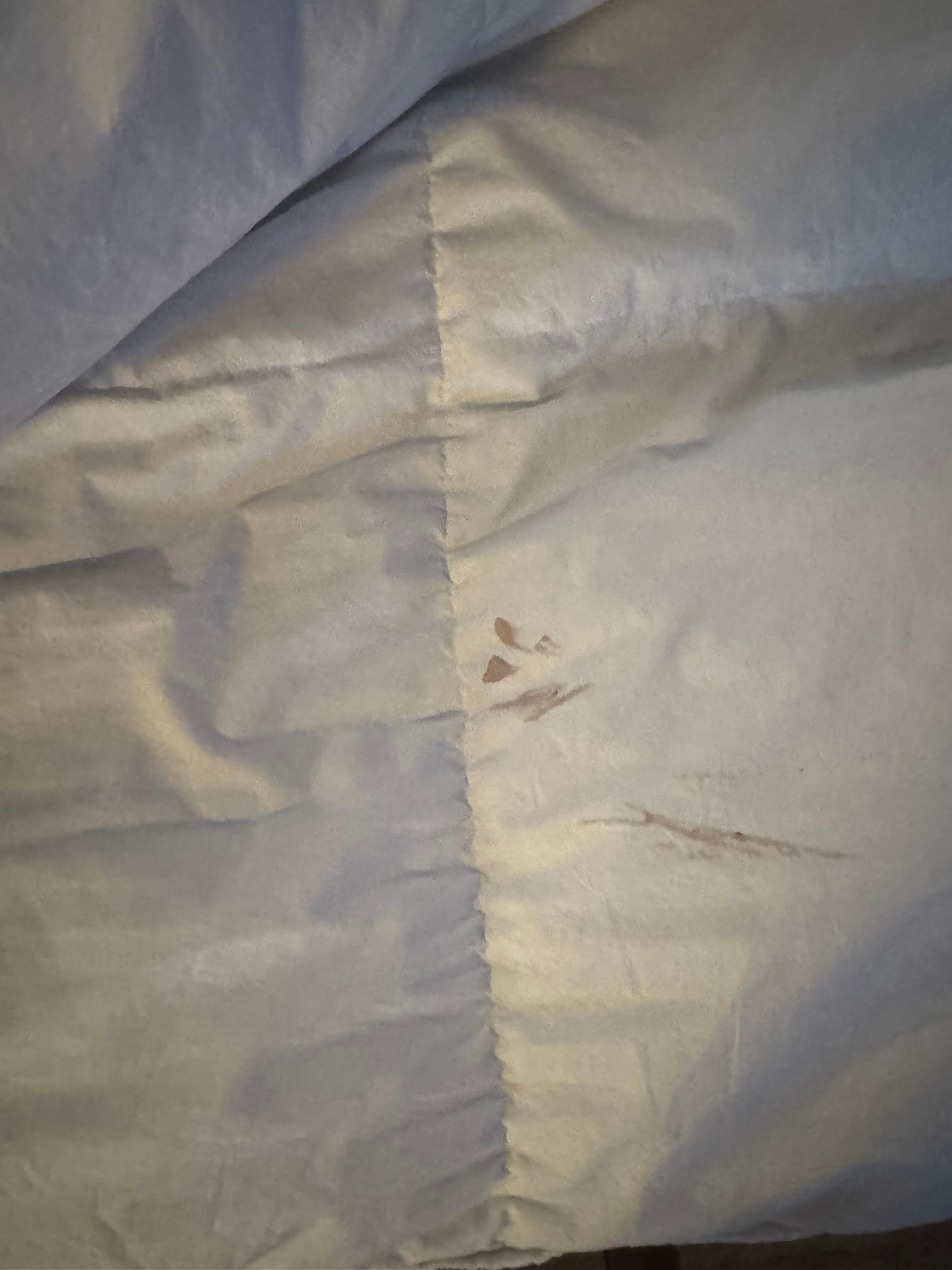 Blood stains on bed
Obnoxious disgusting and filthy