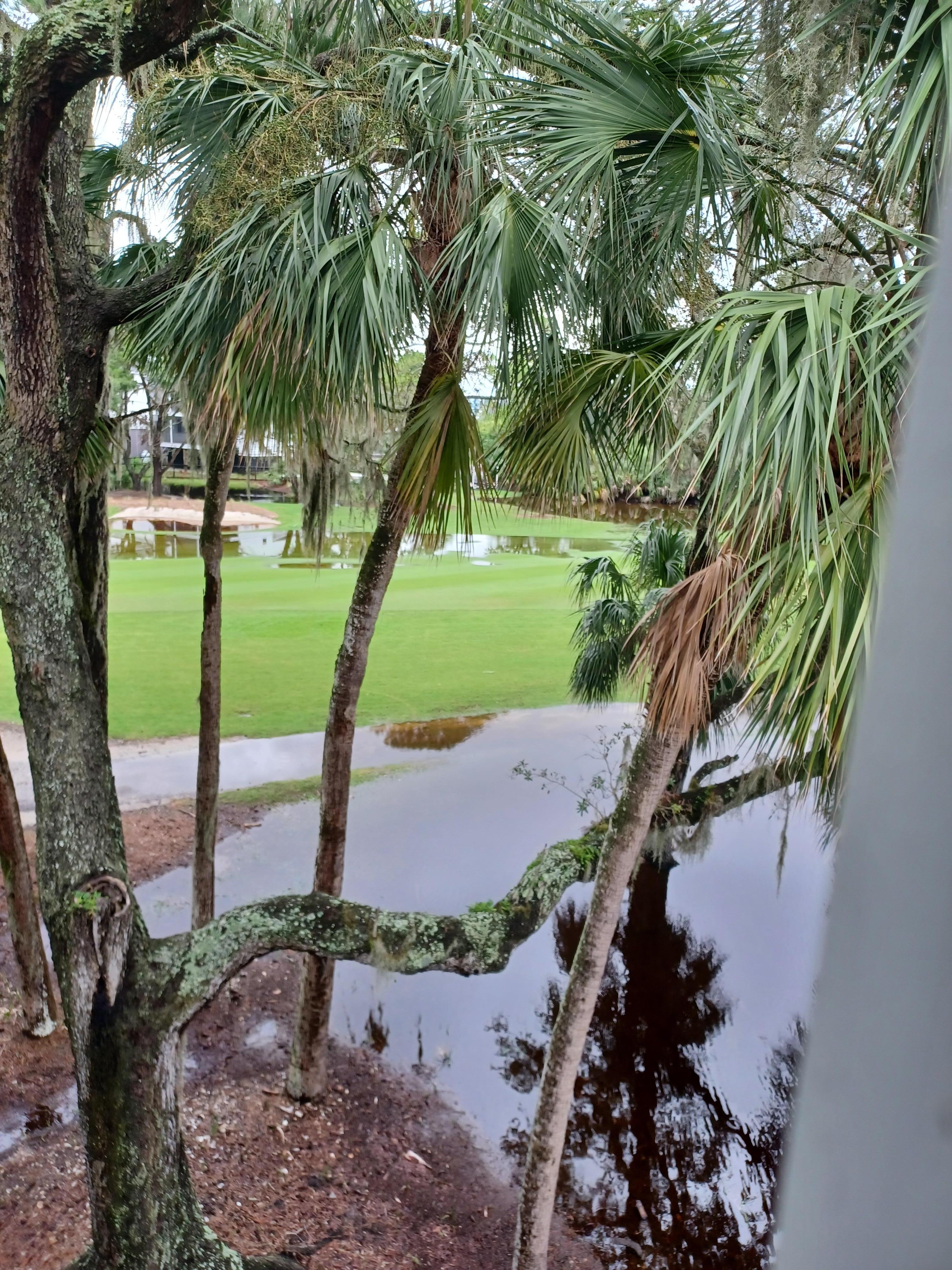 The view from the living room.  