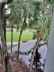 The view from the living room.