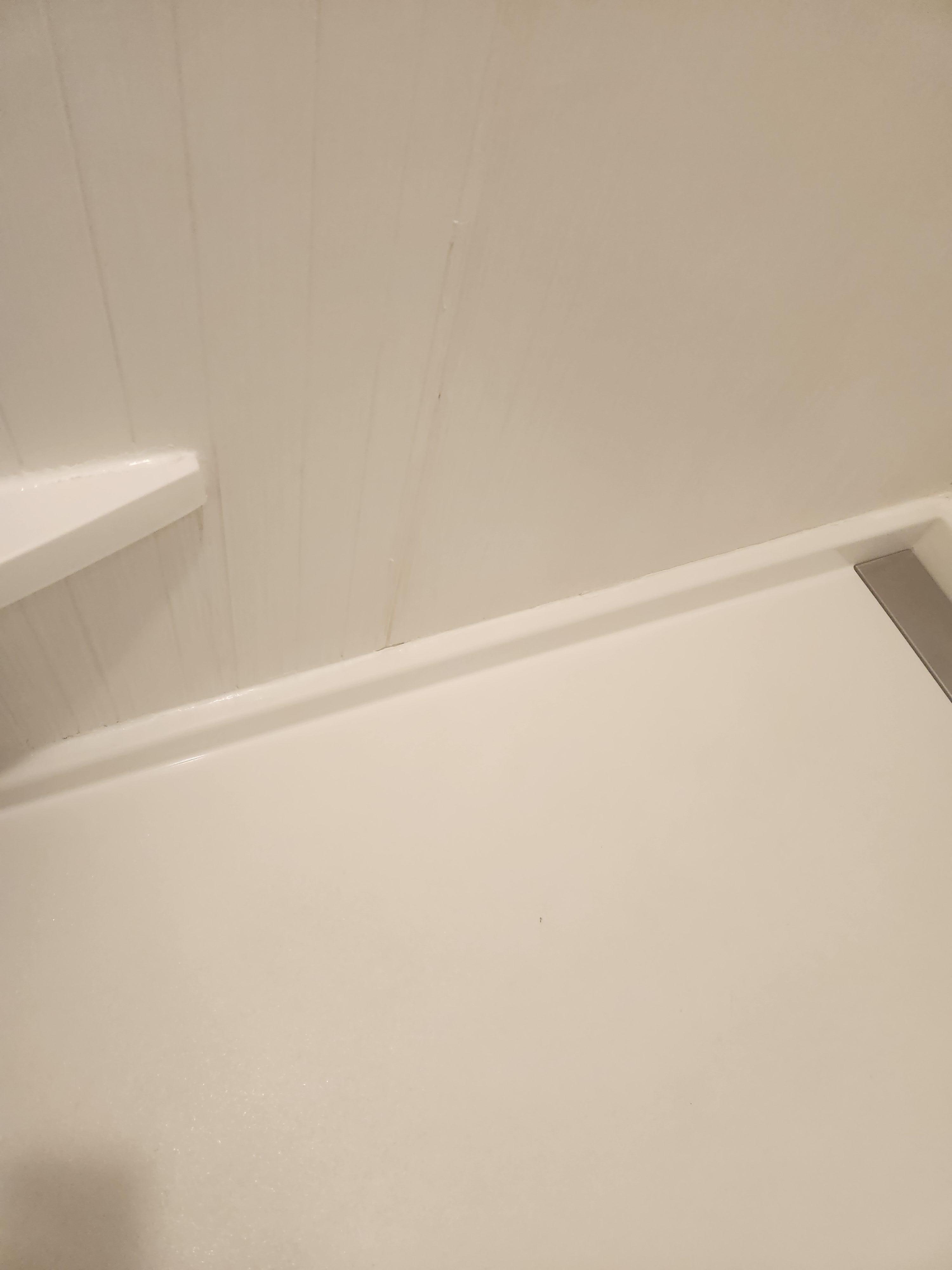 The shower was disgusting. 