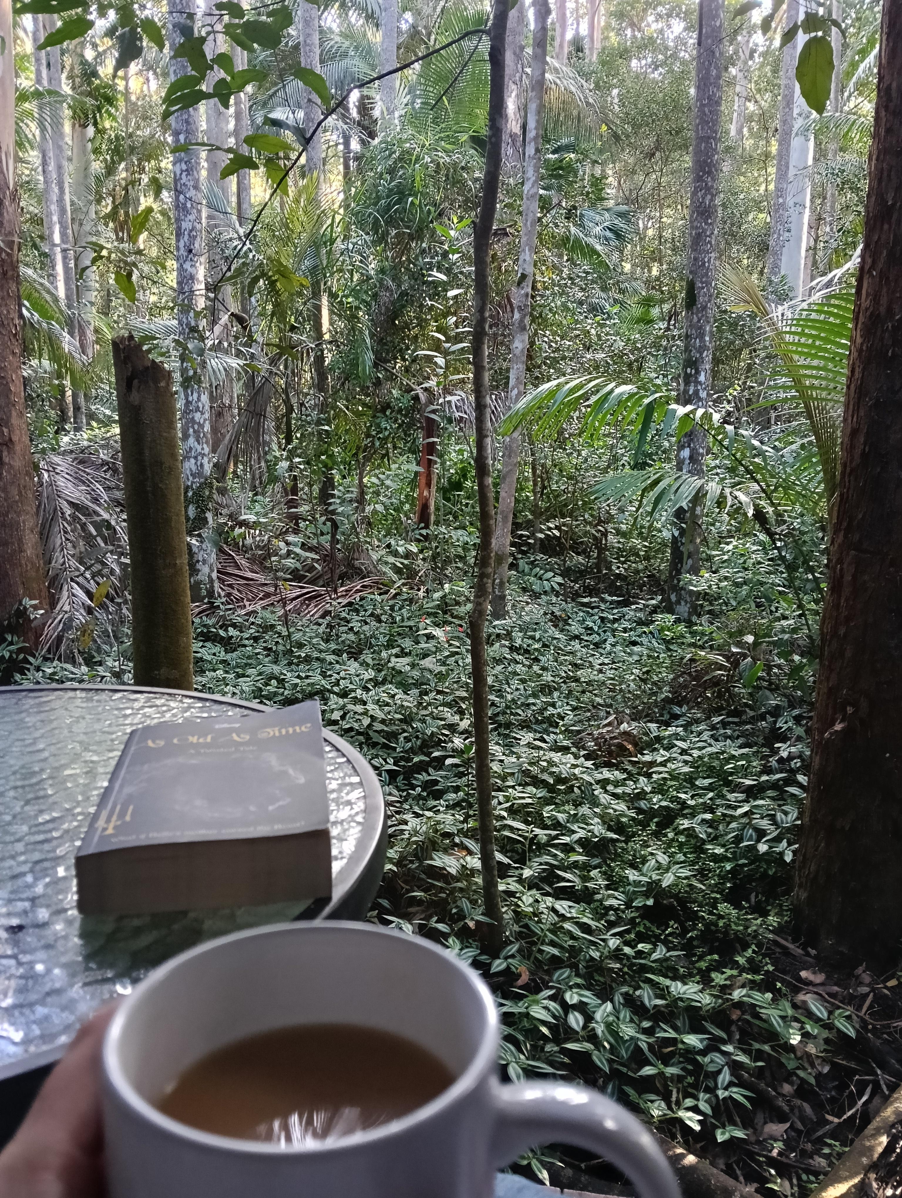 Back patio of cabin amongst the trees.