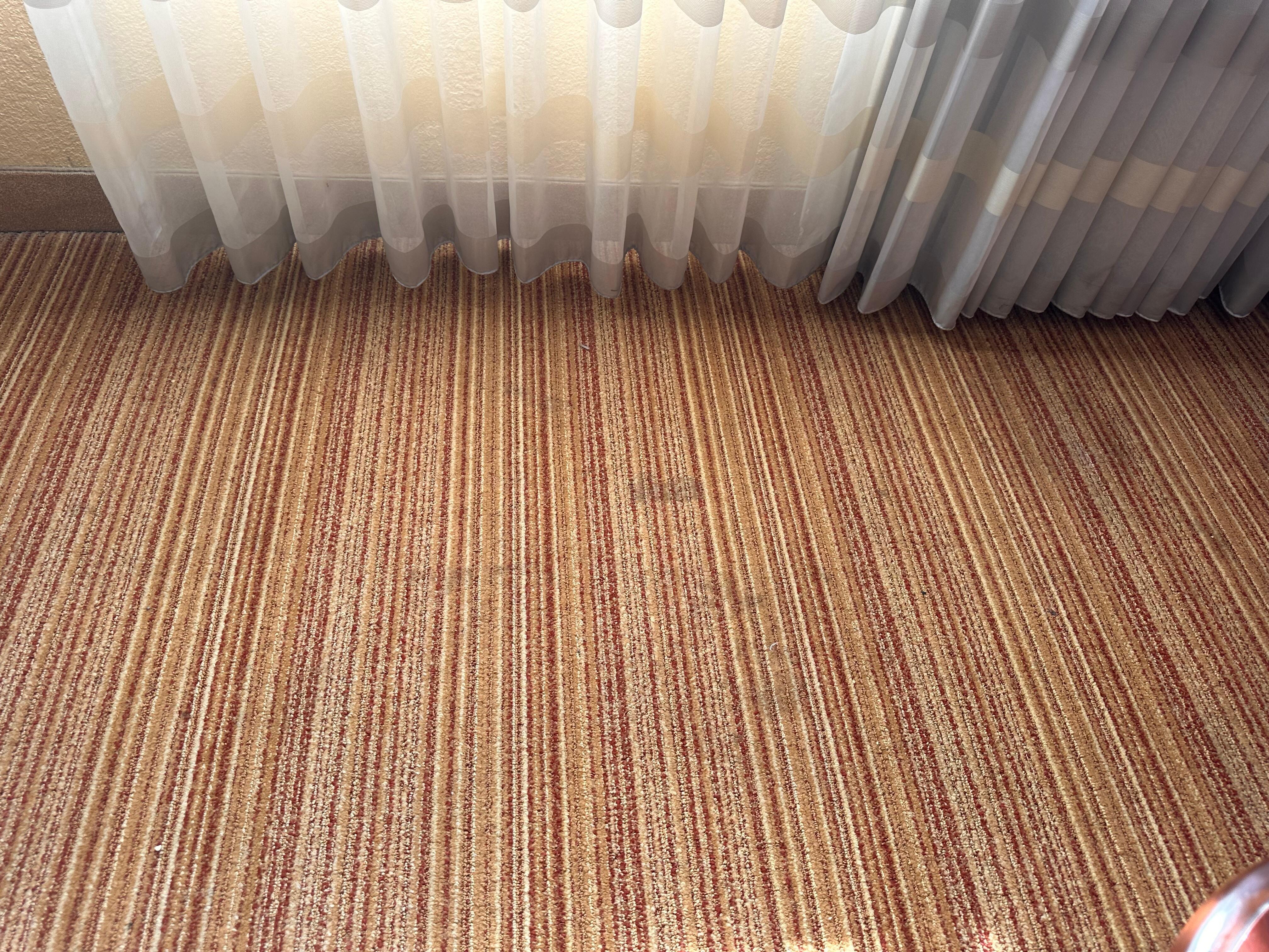 Dorty carpet and drapes