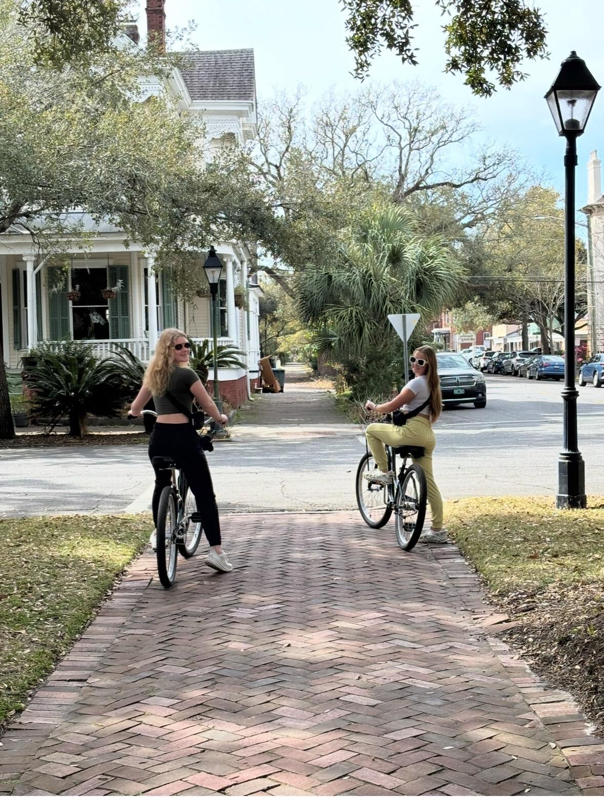 Rented bikes