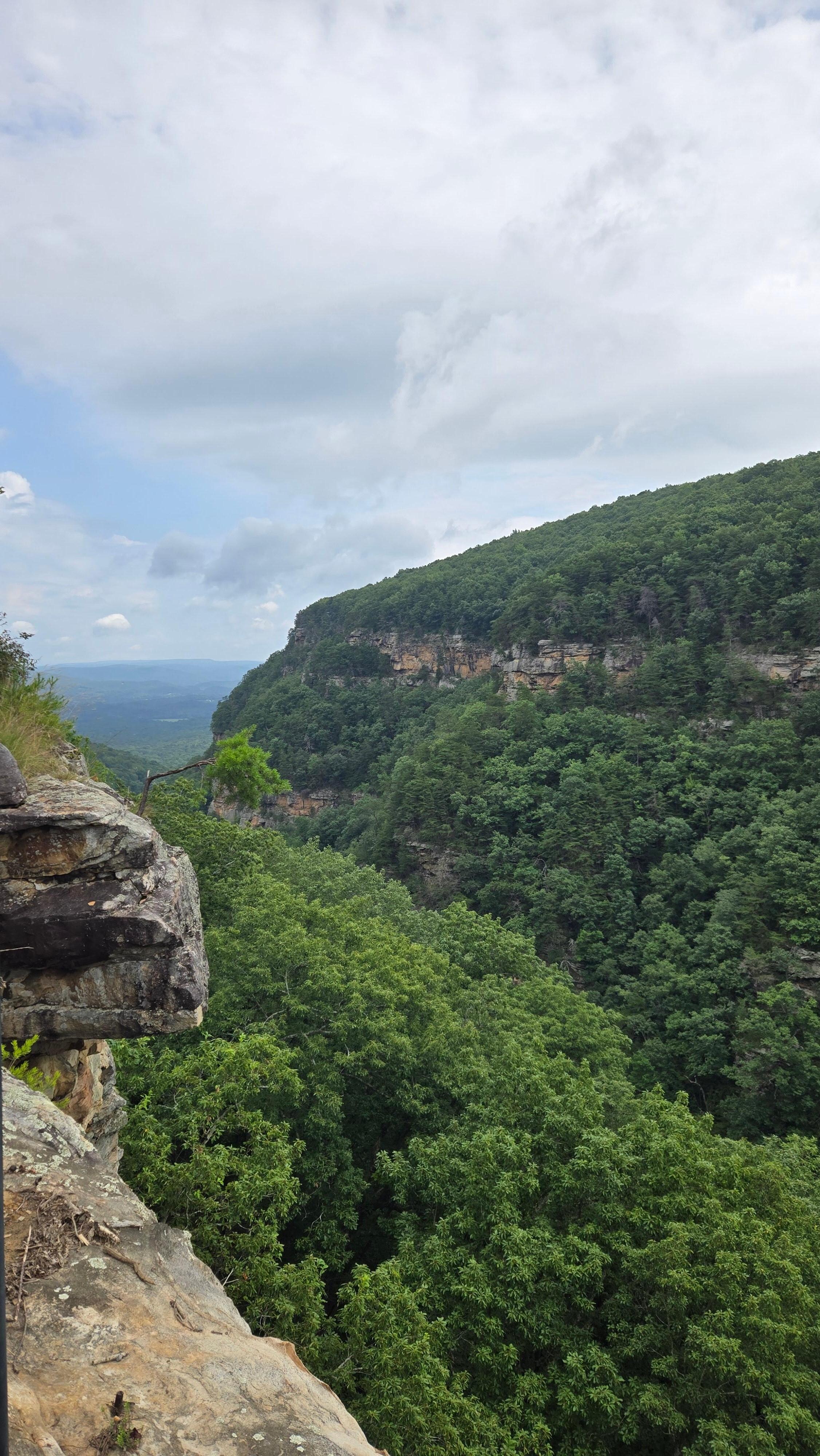 Cloudland Canyon