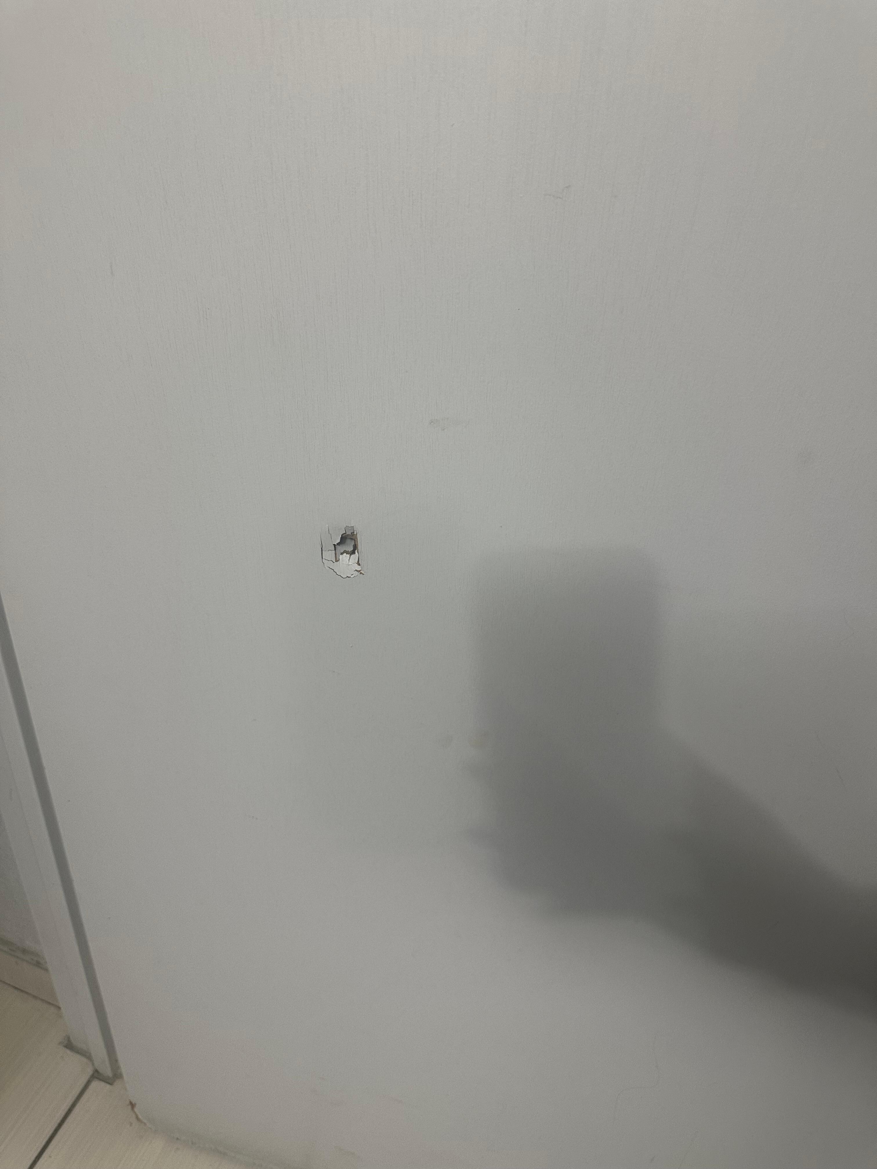 Bathroom door
