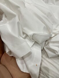 blood stains on sheets
