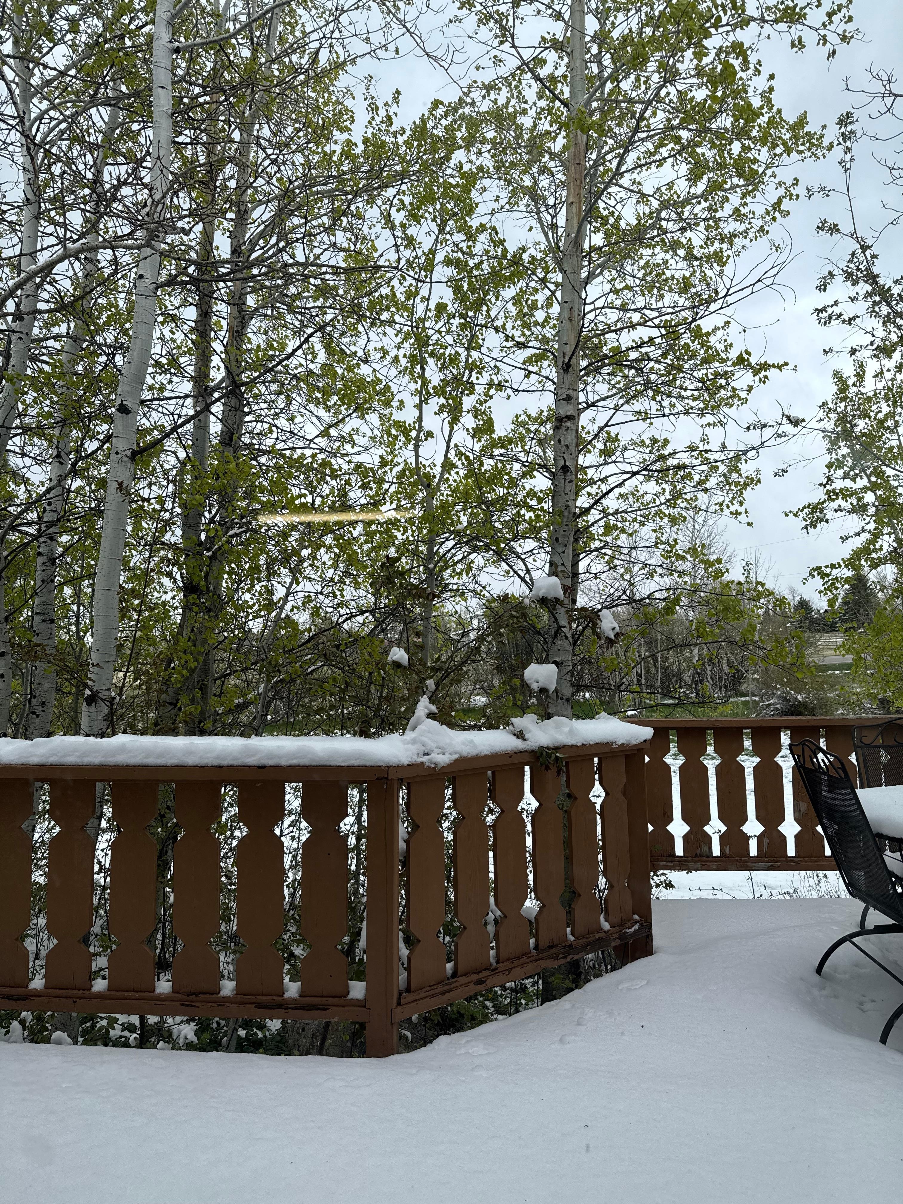 Beautiful light spring snowfall on the deck. 