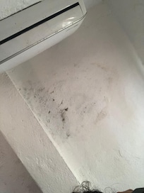 1.- black mold in ceiling.
