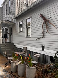 Outdoor sitting area and entrance