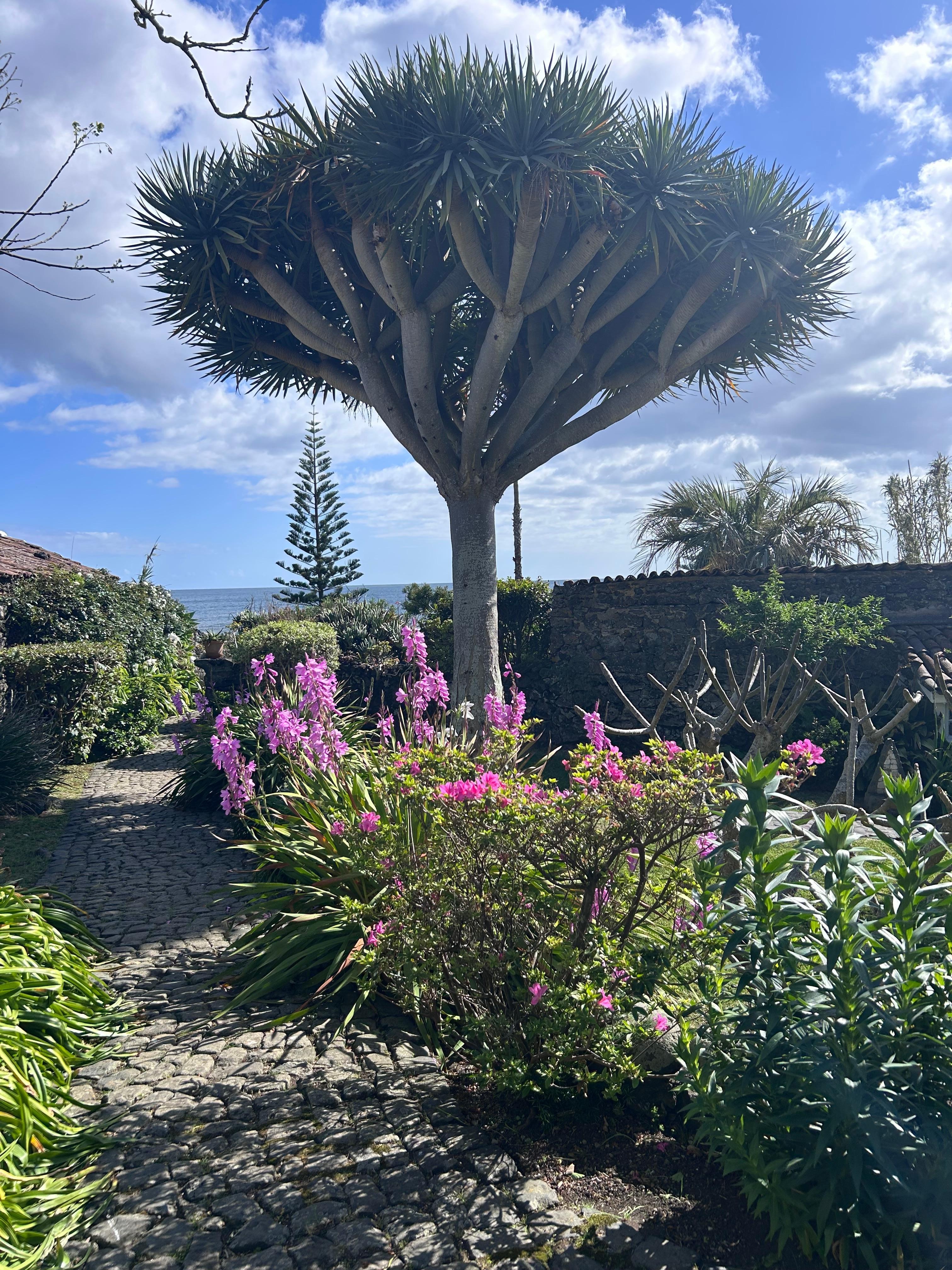 This garden is ridiculous 