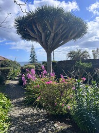 This garden is ridiculous