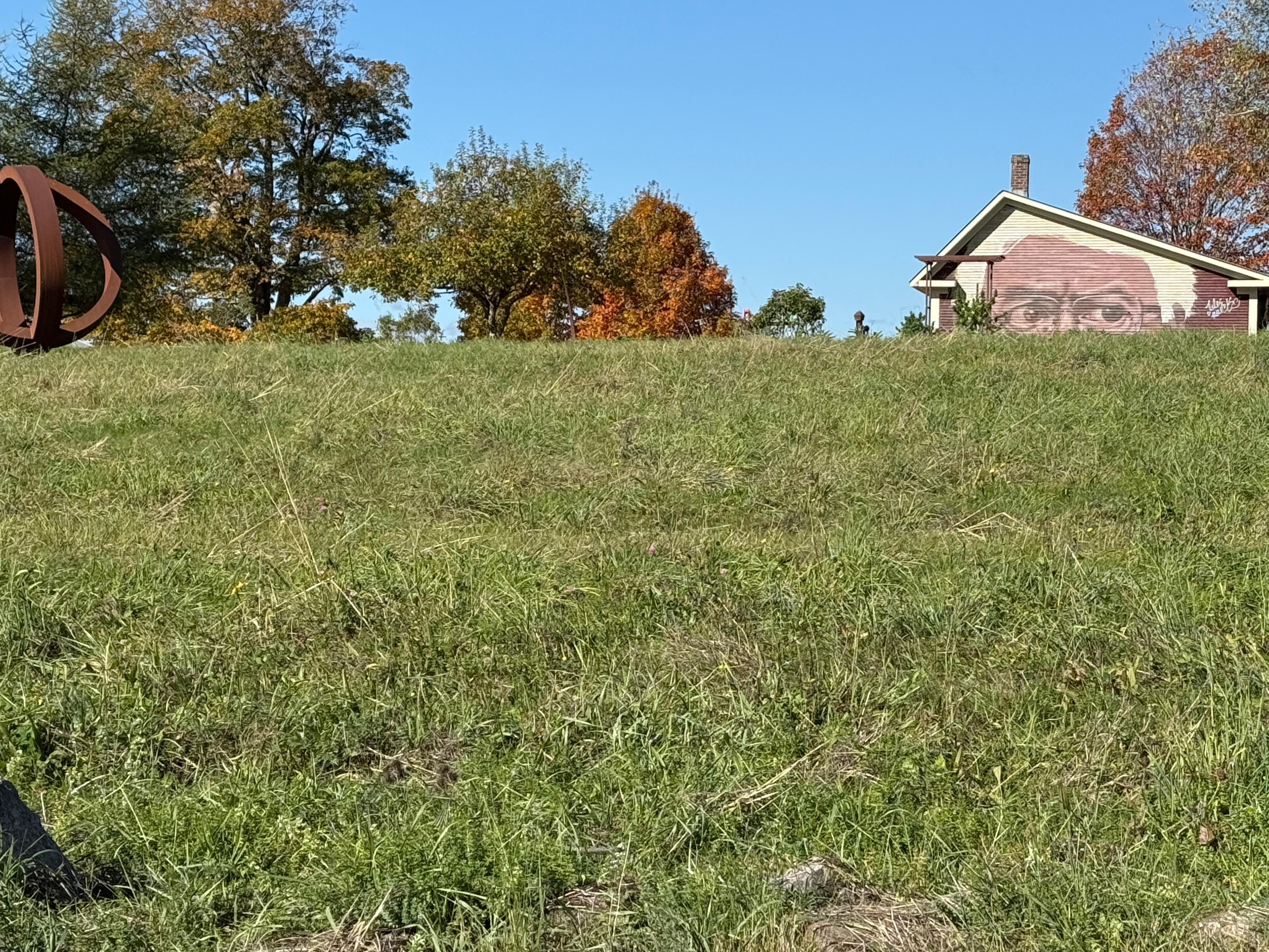 Some of the things you’ll see when walking around the property.