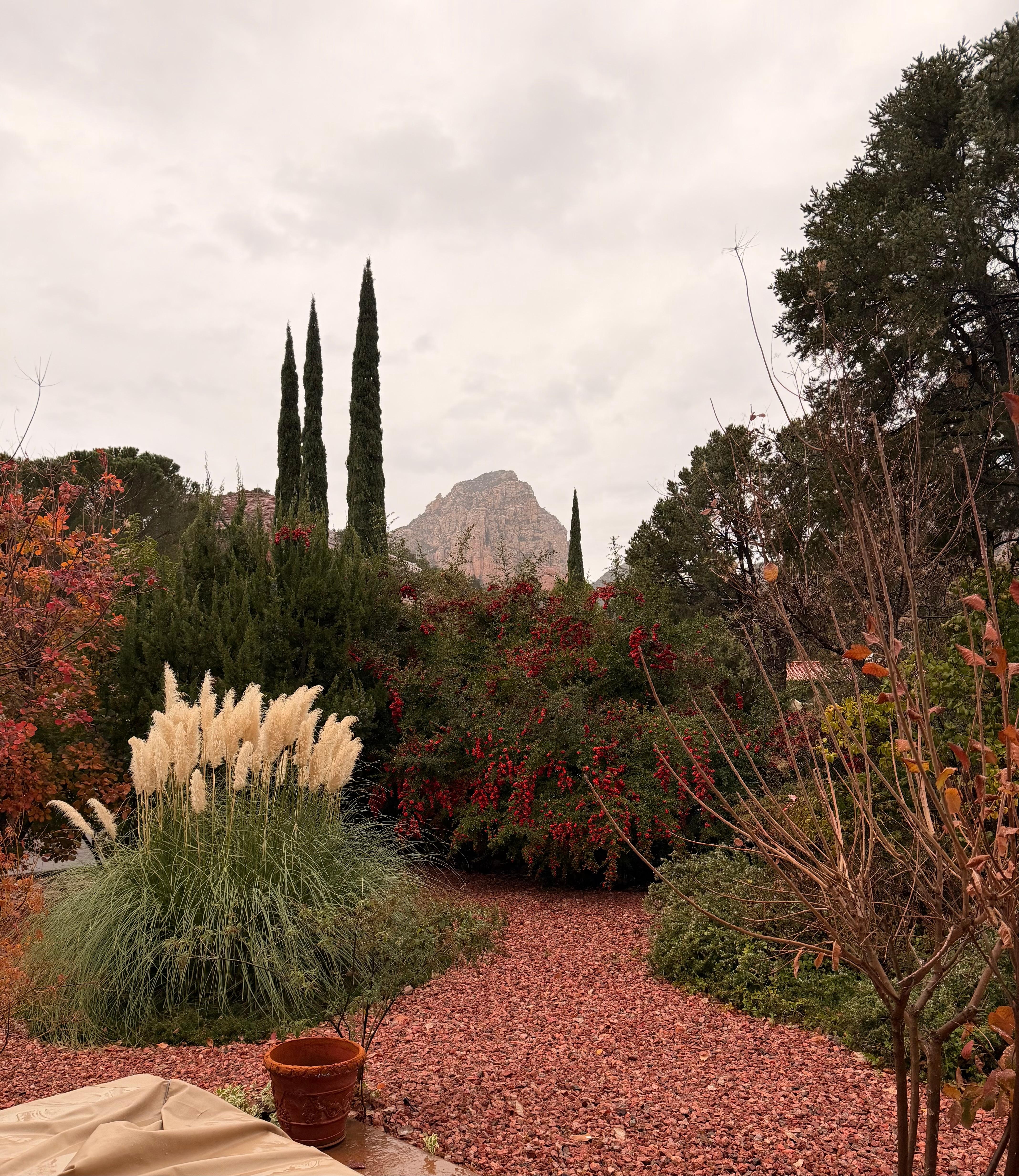 View from just outside the house. 