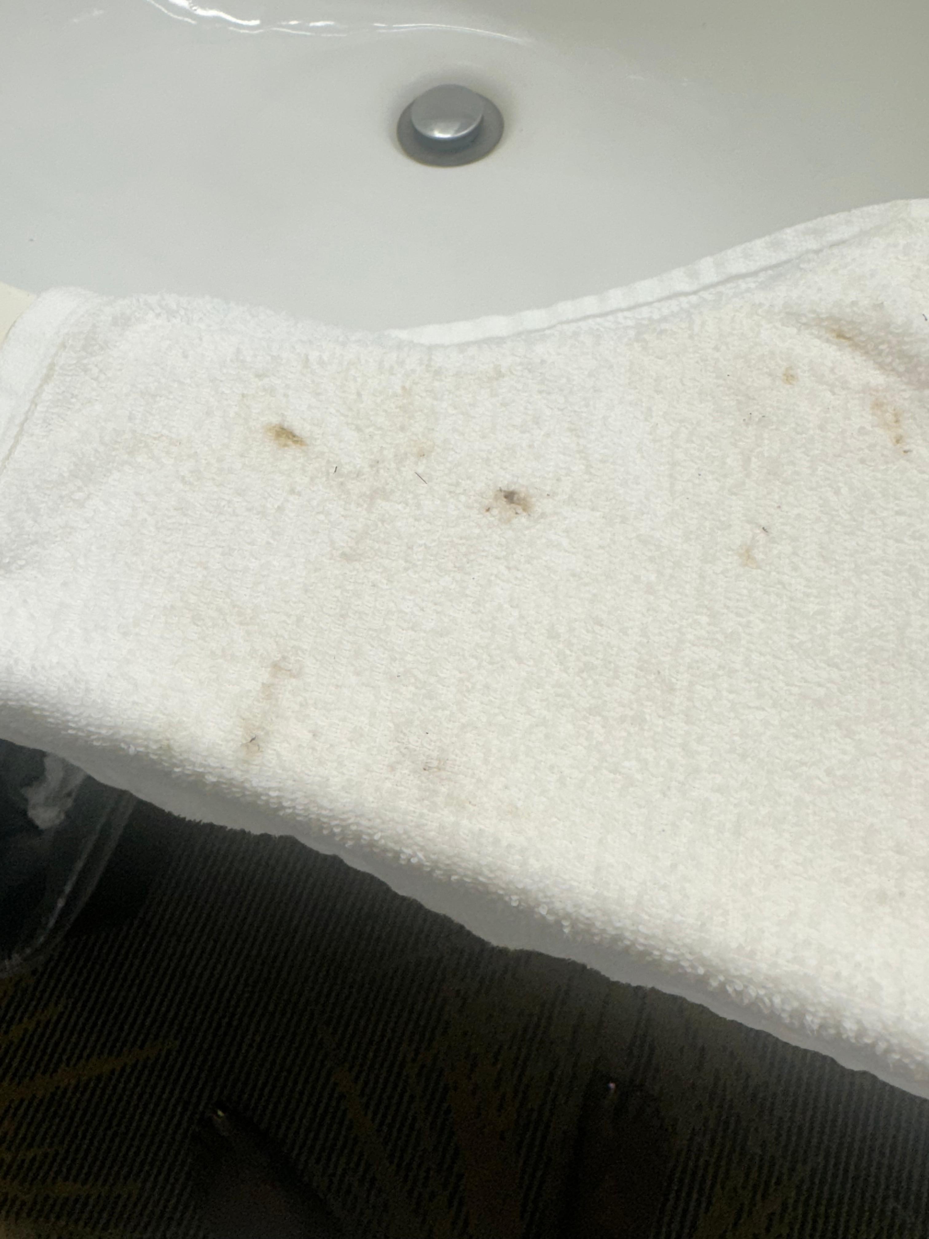 Dirt from the sink