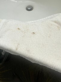 Dirt from the sink