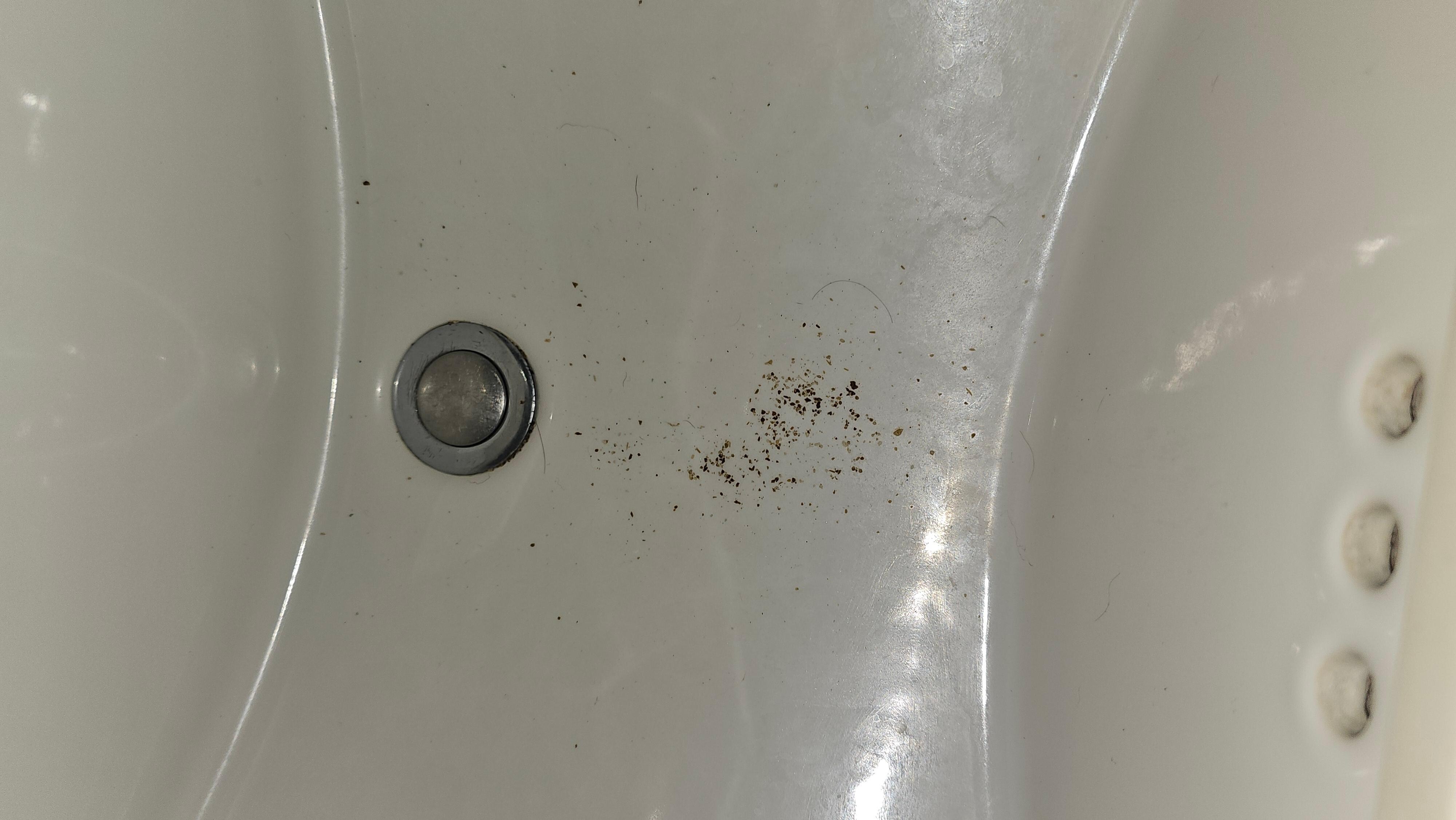 I don't know if this is rust or what from the sink