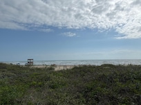 View from the lawn