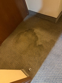 Might be blood stain who knows