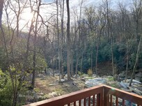 Another view from back porch