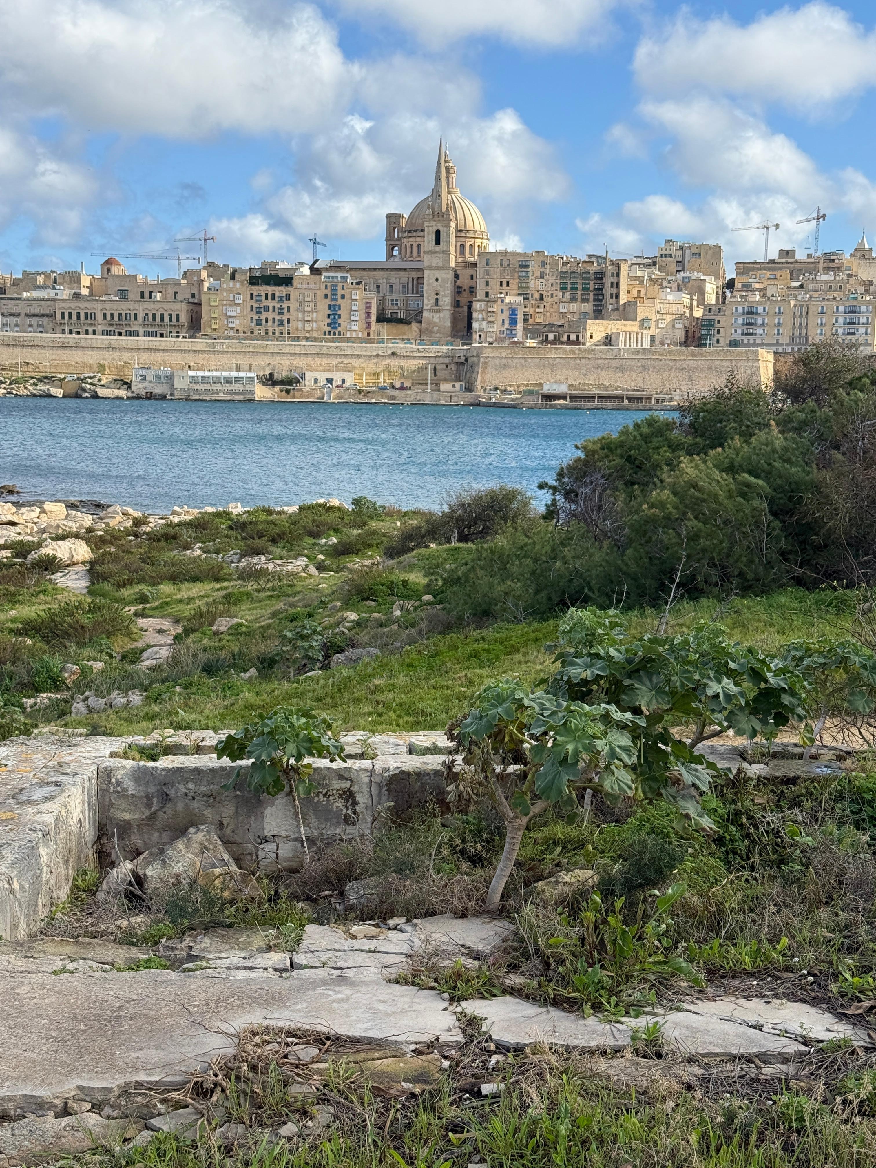 Valletta from Manoel Island