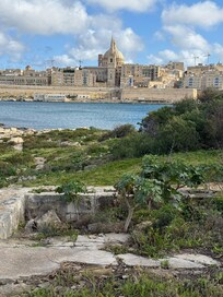 Valletta from Manoel Island