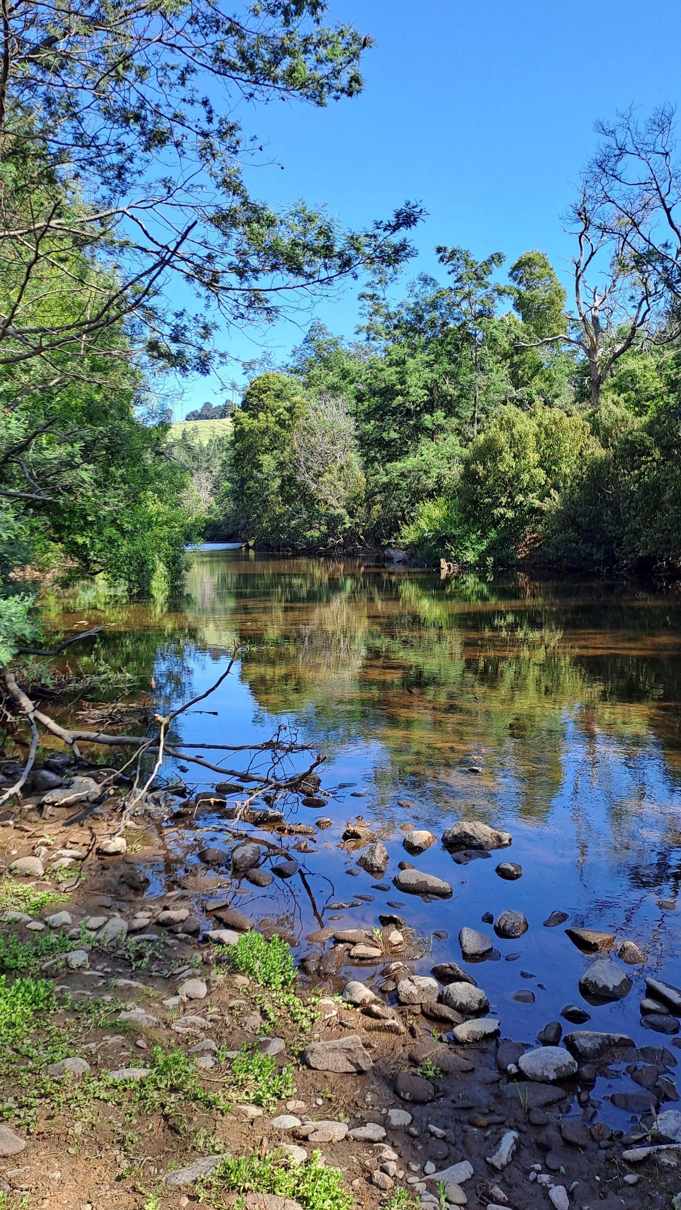 Just a few steps from the back of the Dorset Hotel, Cascade River.