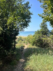 Walk to the beach.