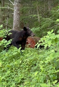 I was in the car, no worries