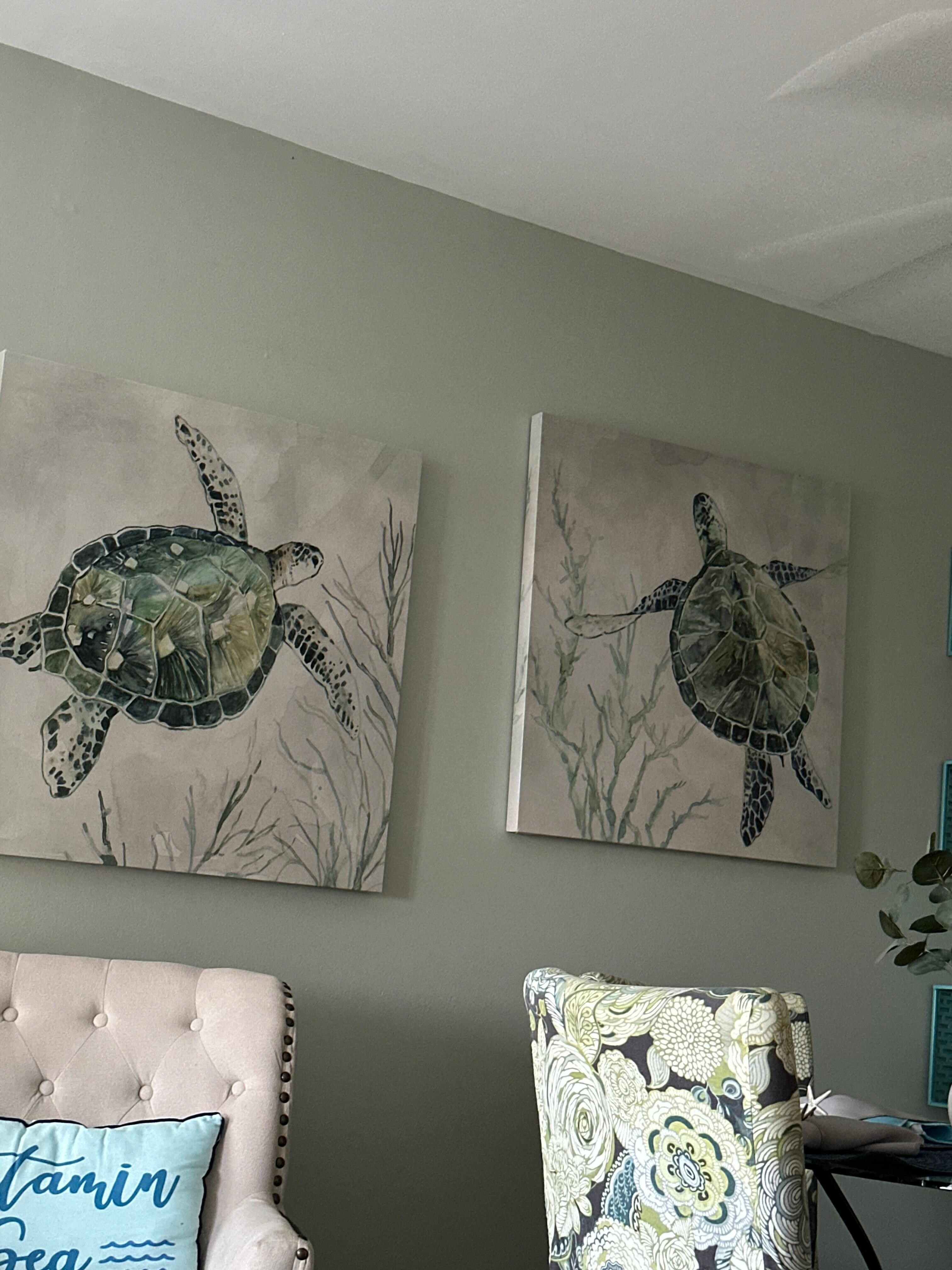 Turtle pictures on wall