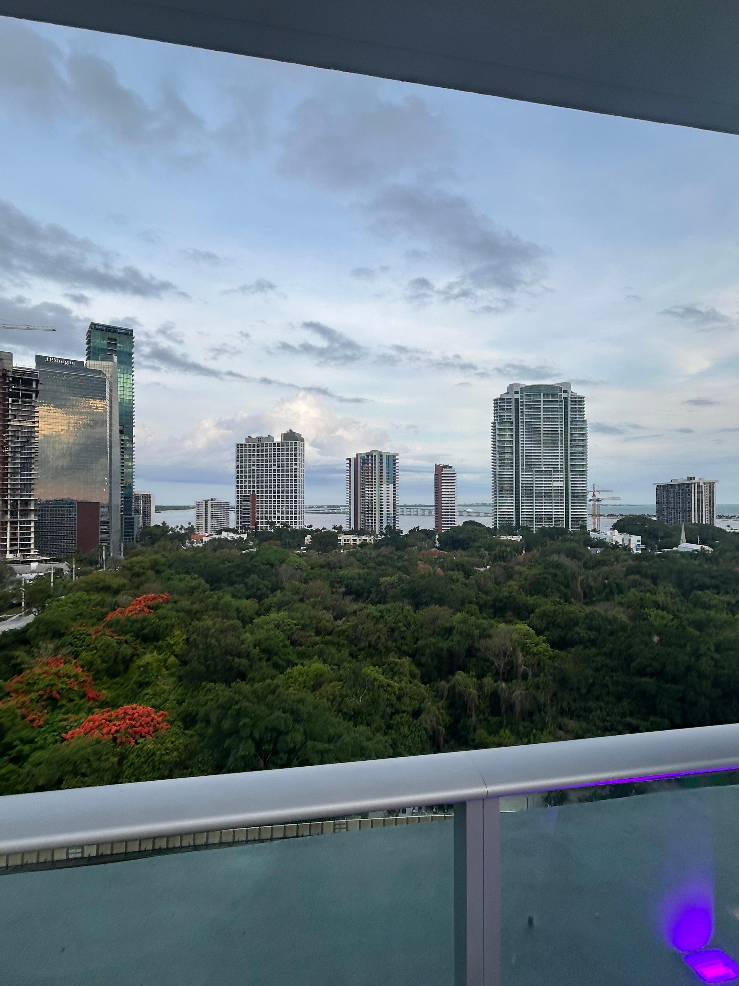 Views from rooftop pool 