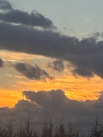 View from the window inside